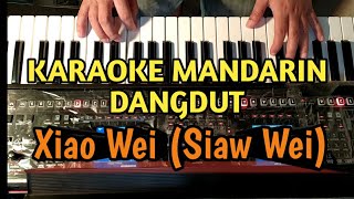 Xiao Wei (Siau Wei) - Huang Pin Yuan | Karaoke Mandarin Dangdut Koplo Jaipong