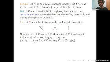 Jonathan Barmak: High connectivity of random simplicial complexes and their topological complexity