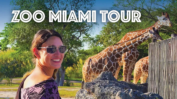 Zoo Miami Tour (Elephants, Crocodiles, Lions, Giraffes, Koalas & More)