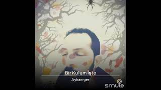 Bir Kulum İşte