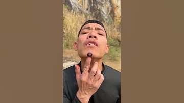 How I Cured a Bug Bite with Yogurt in the Wild Survival Hacks#shotrs