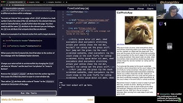 Agregando enlaces internos en HTML - freeCodeCamp en español