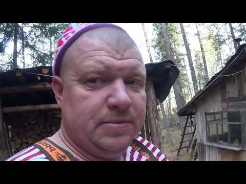 В поисках лося  Ночуем в избе