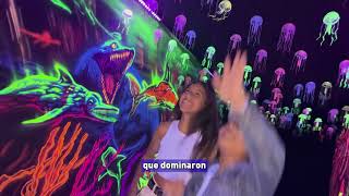 Conoce A Los Dinosaurios Del Mar