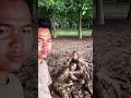 doing bro rider #funny