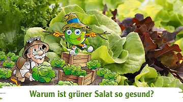 Wie gesund ist grüner Salat?