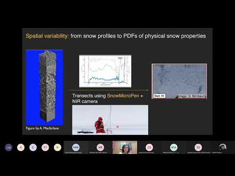 Spatial variability of
