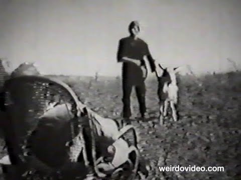Roman Polanski: The Fat and the Lean - 1961