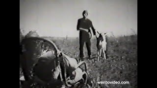 Famous Roman Polanski: The Fat and the Lean - 1961 Net Worth