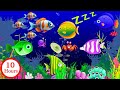 Mozart Brahms Lullaby ЁЯТд Sleep Instantly 3 Minutes ЁЯМЩ Peaceful Baby Sleep Music Mozart Brahms Lullaby ЁЯТд Sleep Instantly 3 Minutes ЁЯМЩ Peaceful Baby Sleep Music