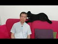 民航包机遭到中国军舰激光照射后，德国与欧盟对中国的外交抗议显然深思熟虑