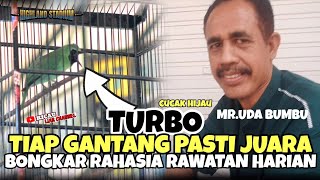 BURUNG TUA TIAP MINGGU JUARA CUCAK HIJAU TURBO |BONGKAR RAWATAN HARIAN BERSAMA MR.UDA BUMBU