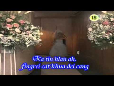 Fingrei Cat Ar
