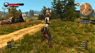 The Witcher 3: Wild Hunt -Funny Glitch Horse Kicks Rider