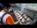 TAIWANESE BBQ - HUGE Fish BBQ from Taiwanese ABORIGINAL | East Coast Taiwan Food Tour pt. 2