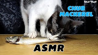 CAT vs WHOLE CHUB MACKEREL FISH MUKBANG ASMR nyah! 🐟🐱