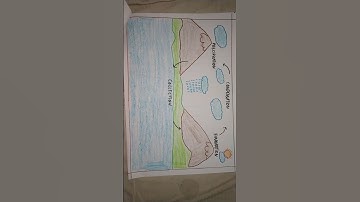 class 7 MDP science Topic:water