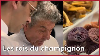 Régis et Jacques Marcon, les rois du champignon