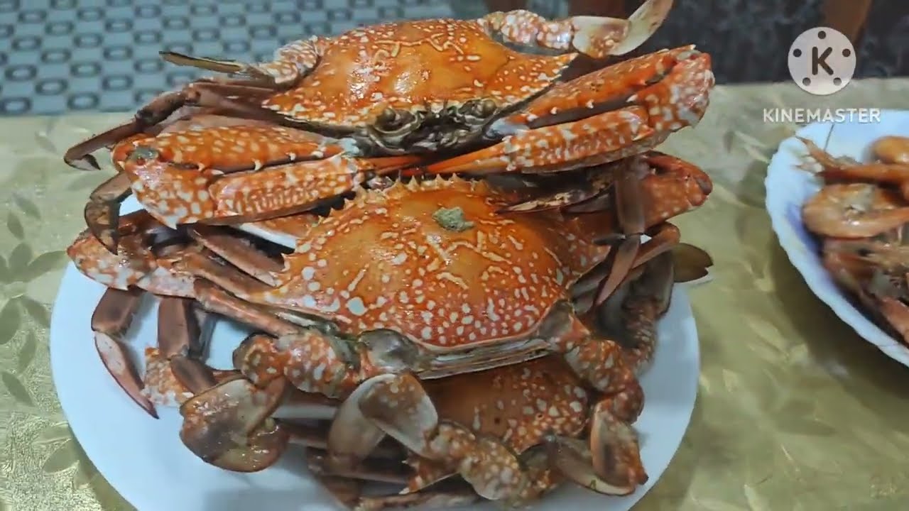 عملت كابوريا وجمبري وسمك فيليه حاجة كده خيال ولادي وجوزي اتبسطوا جدا