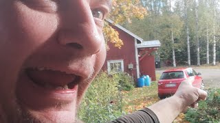 Live - Postinhaku Livenä