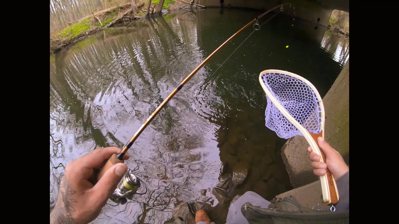 Trout Fishing New Jersey rivers!!! YouTube