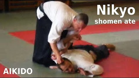 Aikido - NIKYO against shomen ate striking attack, by Stefan Stenudd