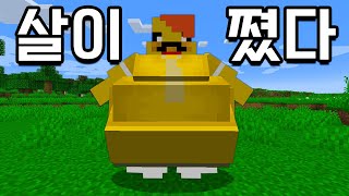 평범한 마인크래프트 그런데 먹을 수록 살이 찝니다?! [비만크래프트] Food = fool body in Minecraft