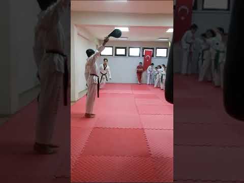Uçan Tekme Atma
