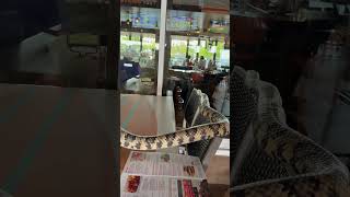 Tatya at Hooters.