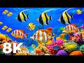 Peaceful 8K Aquarium | Marine Serenity &amp; Sea Creature for Relaxaion