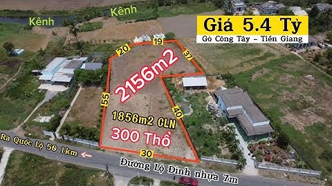 2156m2 có 300 thổ còn lại CLN giá 2.5 triệu/m2 Gò Công Tây - Tiền Giang 0968.079.561