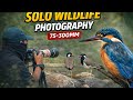 The Wild Was Watching Me | Solo Photography.#ytshorts#shorts#solo#kingfisher #sauravsayaphotography