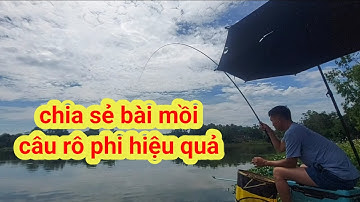 Chia sẻ bài mồi câu cá rô phi hiệu quả #moicaucarophi