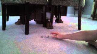 Bowie Vs The Silver Bracelet