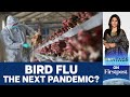 Bird Flu Outbreak &quot;100 Times Worse&quot; Than Covid Pandemic says Experts | Vantage with Palki Sharma