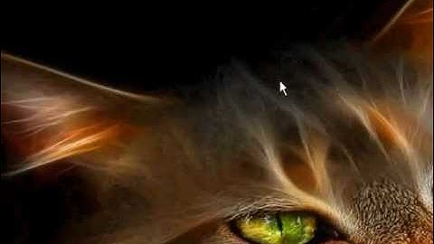 Source Dedicated Server - Did you make a static ip and portforward and still dosent work??