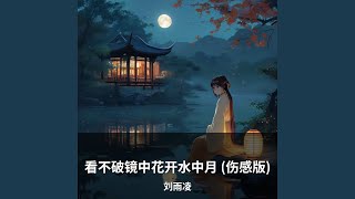 看不破镜中花开水中月 (伤感版)