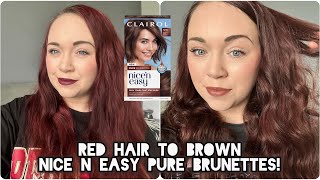 Demo and Review of the NEW Clairol Nice N Easy Pure Brunettes - Medium Pure Brown