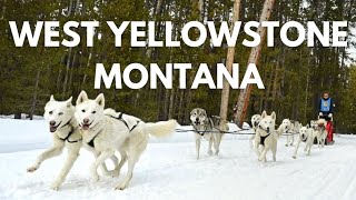 Wildfire Defense Dogsled Race With Seppala Siberian Sleddogs