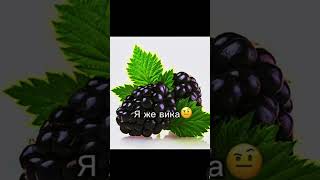 Видео и идея не моя #пустьзалетит #актив #хзчтоснимать #memes