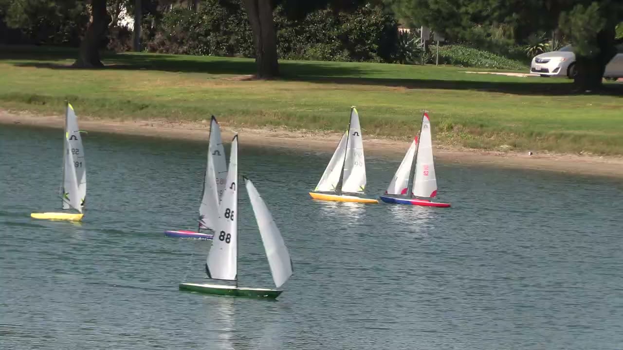 Points Racing Soling & ODOM. 14.02.2026