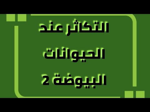 إيقاظ علمي سنة ثالثة التكاثر والنمو التكاثر عند الحيوانات البيوضة 2