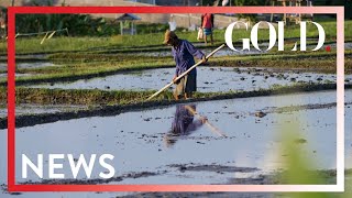 Scaling up Access to Medicine │GOLD Weekly News Roundup