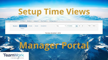 TeamWork 5 Manager Tutorial: How to Setup Your View When Reviewing Time Information