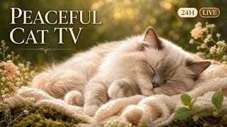 Best Cat TV for Cats - 24 HOURS of Calming Music Cats Love | LIVE screenshot 3