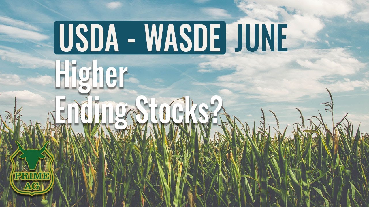 USDA WASDE Report June 2022 YouTube