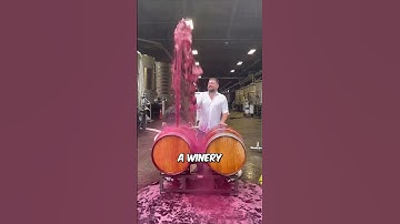 He Took a Wine Shower 🍷💦 (@joethewinemaker on TikTok) #shorts