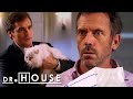 Wilson se acerca a la FASE FINAL de ser un SOLTERÓN | Dr. House: Diagnóstico Médico