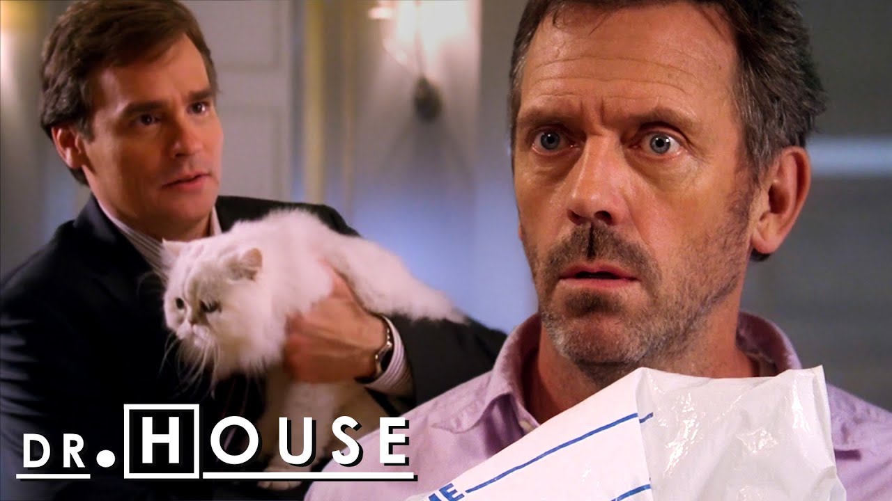 Wilson se acerca a la FASE FINAL de ser un SOLTERÓN | Dr. House: Diagnóstico Médico