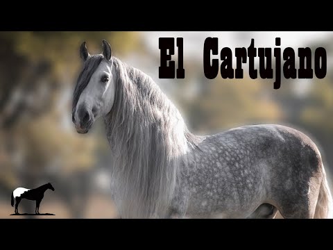 La Elite De